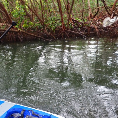 a man standing next to a body of water