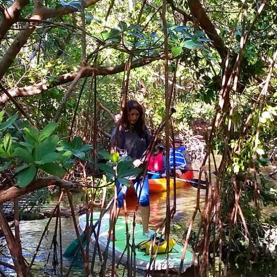 a person sitting in a tree