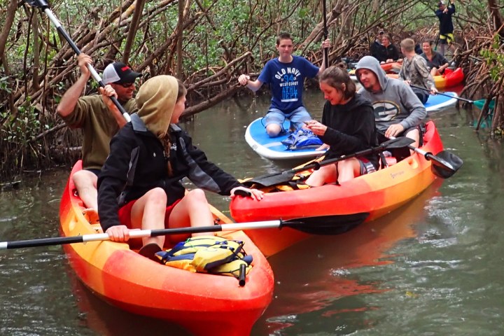 a family kayak tour at Ted Sperling Park mangrove tunnels
