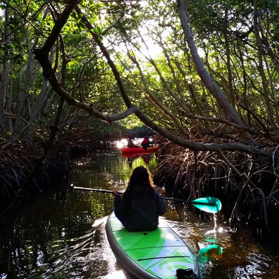 a yellow boat sitting on top of a tree
