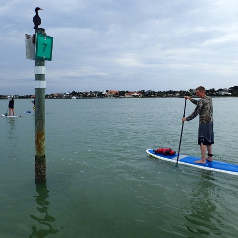 a person rowing a boat in a body of water