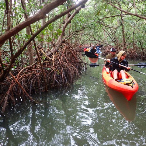 a group of people on a boat in the water