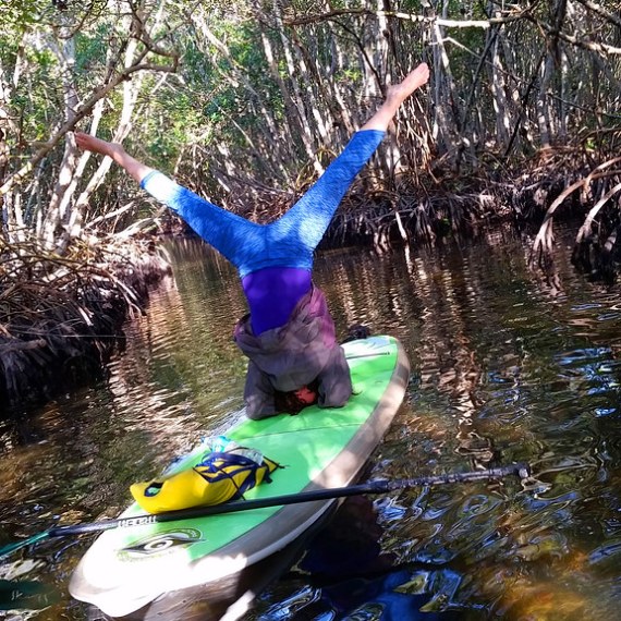a bird swimming in water