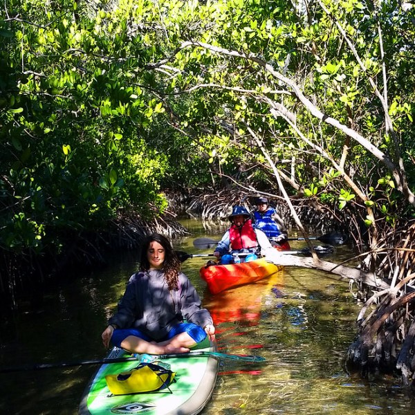 a man riding on the back of a boat next to a tree