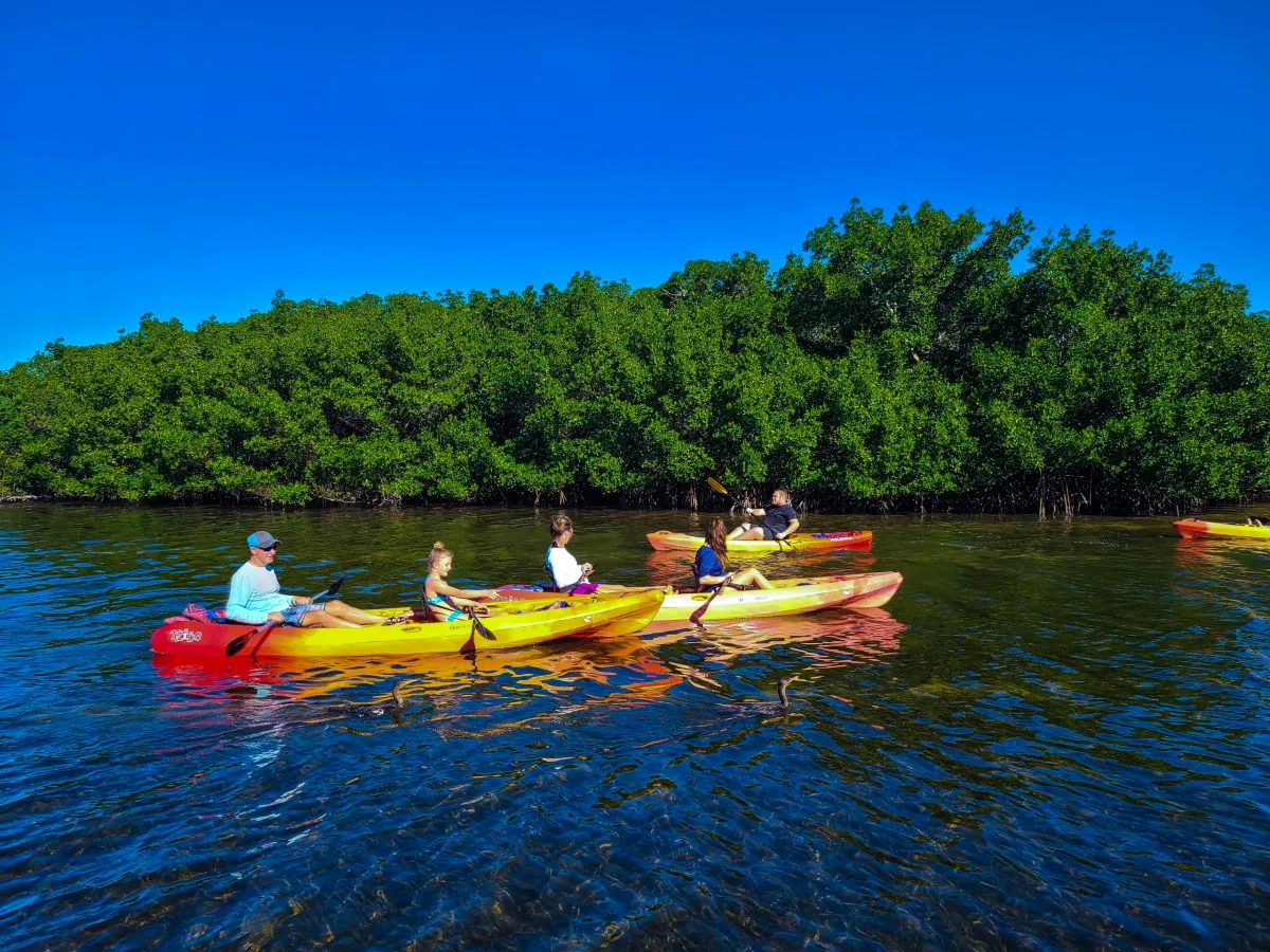 Kayak and paddleboard outing near Siesta Key and Midnight Pass