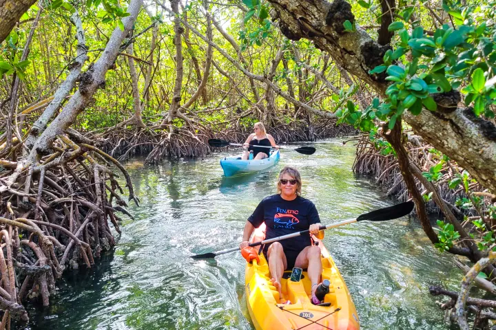 Ted Sperling Park mangrove tunnels
