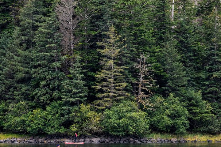 a group of people in a forest next to a body of water