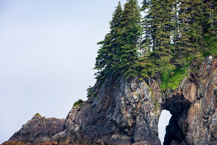 a close up of a rock next to a body of water