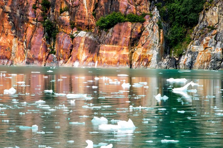a group of people swimming in a body of water
