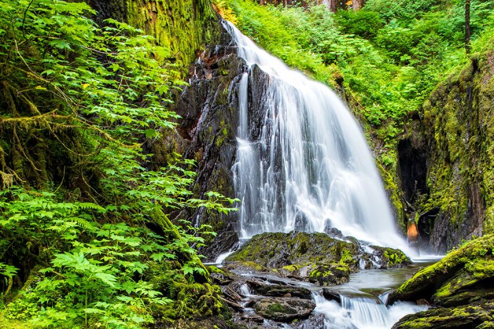 a large waterfall in a forest