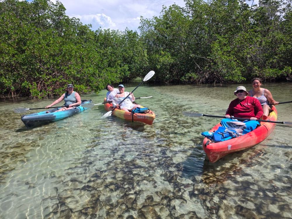 Four people kayaking in shallow, clear water surrounded by lush greenery.