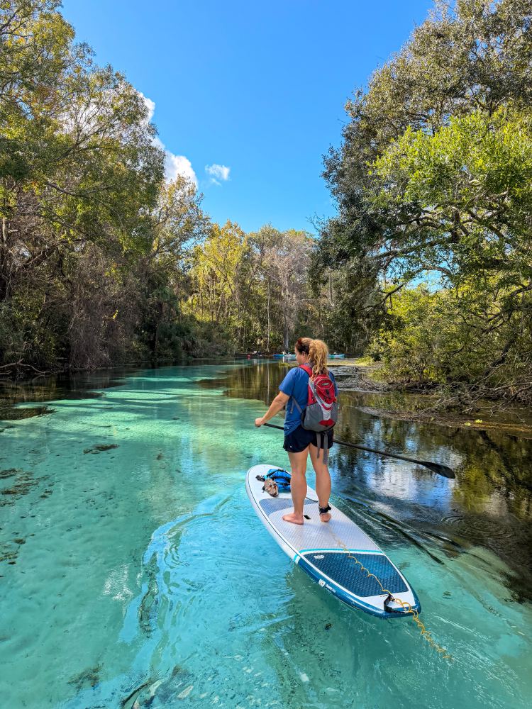 Person paddleboarding on clear water surrounded by trees under a blue sky at weeki wachee springs