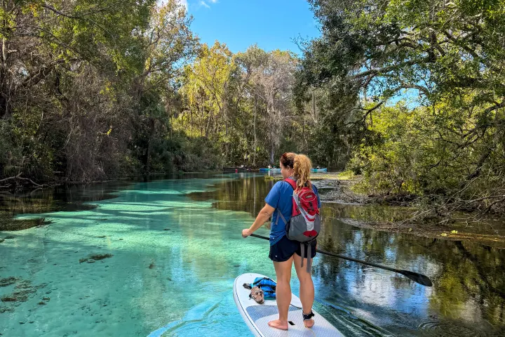 Person paddleboarding on clear turquoise river surrounded by trees and blue sky.